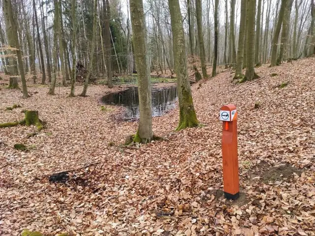 Słupek nad oczkiem wodnym