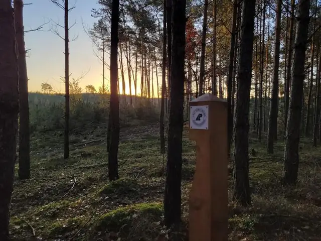 Świt nad lasem — pierwszy słupek