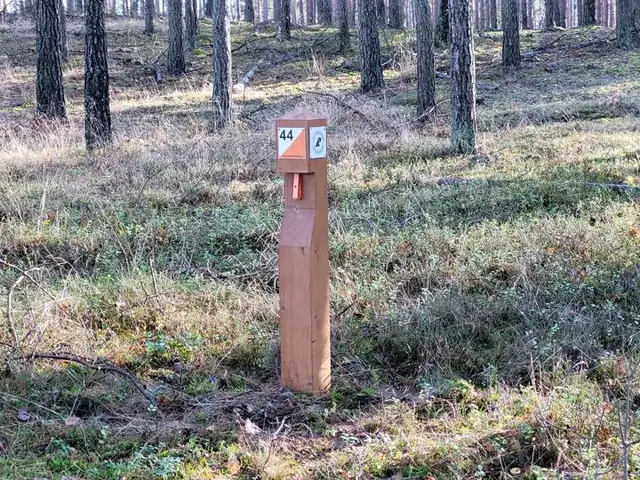 Słupek nr 44 w sosnowym lesie