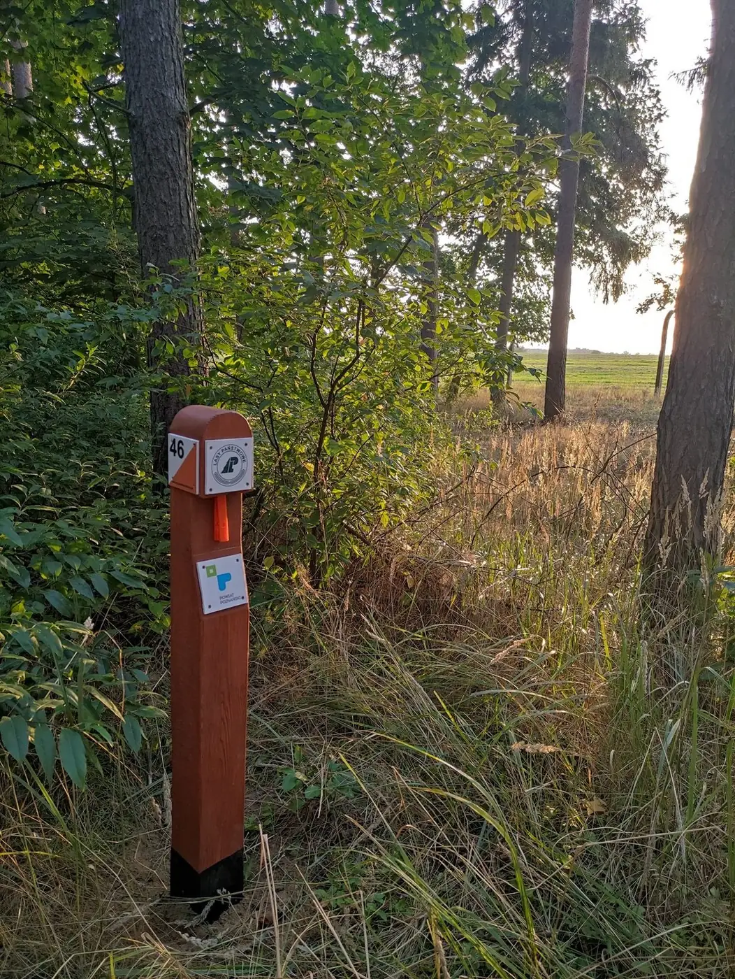 Puszcza Zielonka