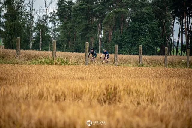 Wielkopolska w kolorze słomy
